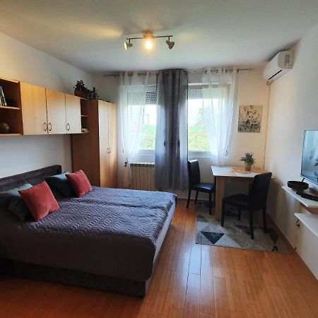Apartman 64 - Besplatan Parking Za Goste Novi Sad Buitenkant foto