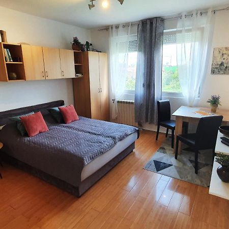 Apartman 64 - Besplatan Parking Za Goste Novi Sad Buitenkant foto