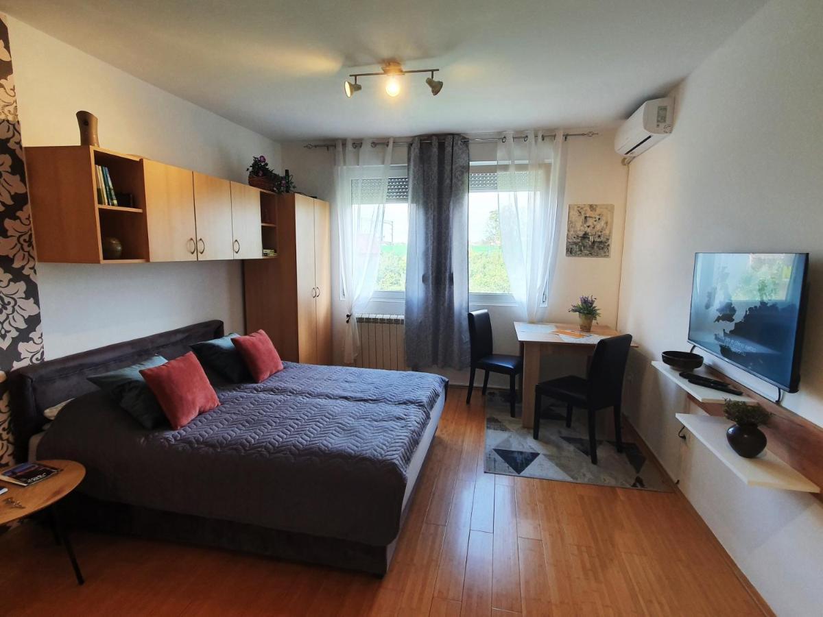Apartman 64 - Besplatan Parking Za Goste Novi Sad Buitenkant foto